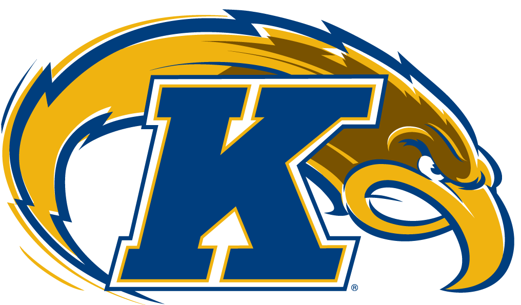 Kent State Golden Flashes 2000-Pres Alternate Logo iron on paper